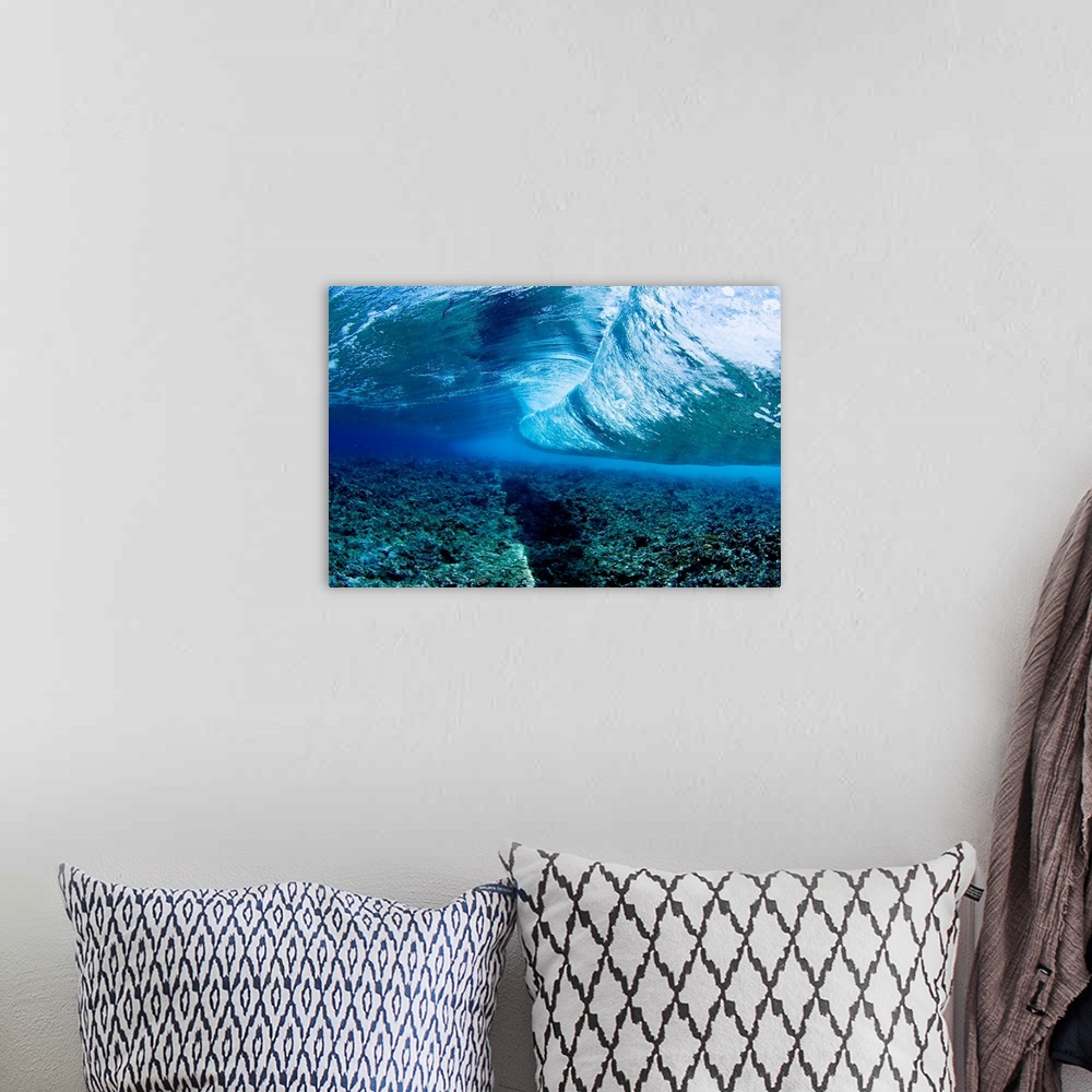 A bohemian room featuring Micronesia, Yap, Underwater View Of Wave