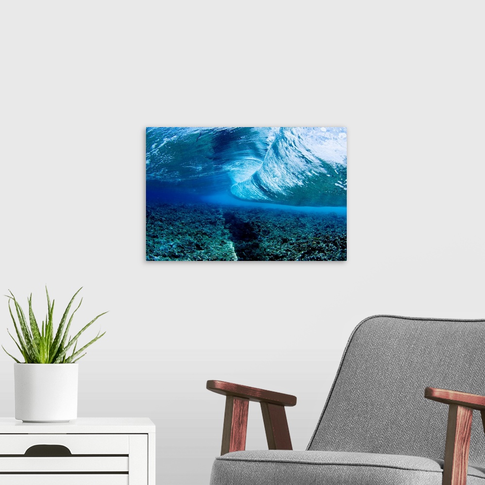 A modern room featuring Micronesia, Yap, Underwater View Of Wave