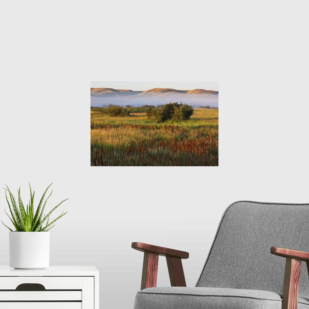 A modern room featuring Mist At Sunrise In Frenchman River Valley Of Grasslands National Park, Saskatchewan, Canada