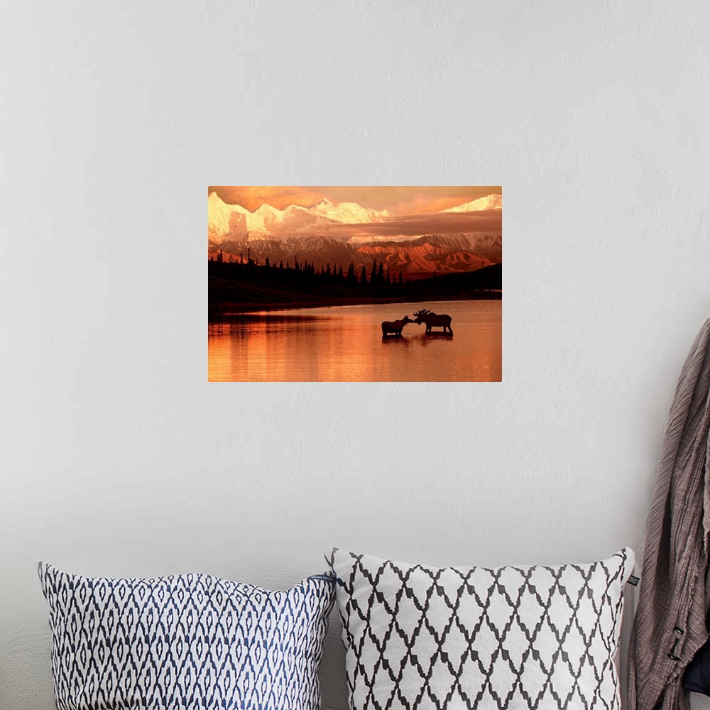 A bohemian room featuring Landscape photograph of a North American lake and mountains at sunset.