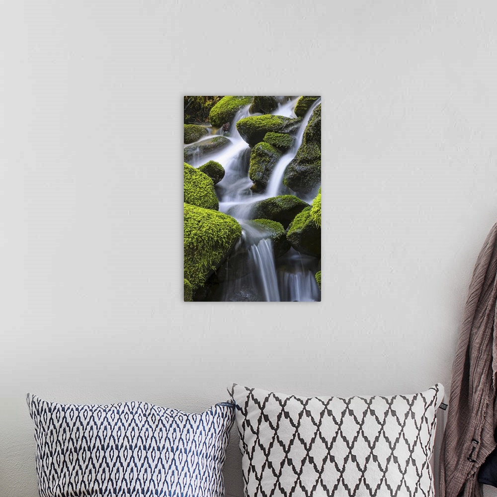 A bohemian room featuring Moss-covered rocks with cascading water, Denver, Colorado, united states of America.
