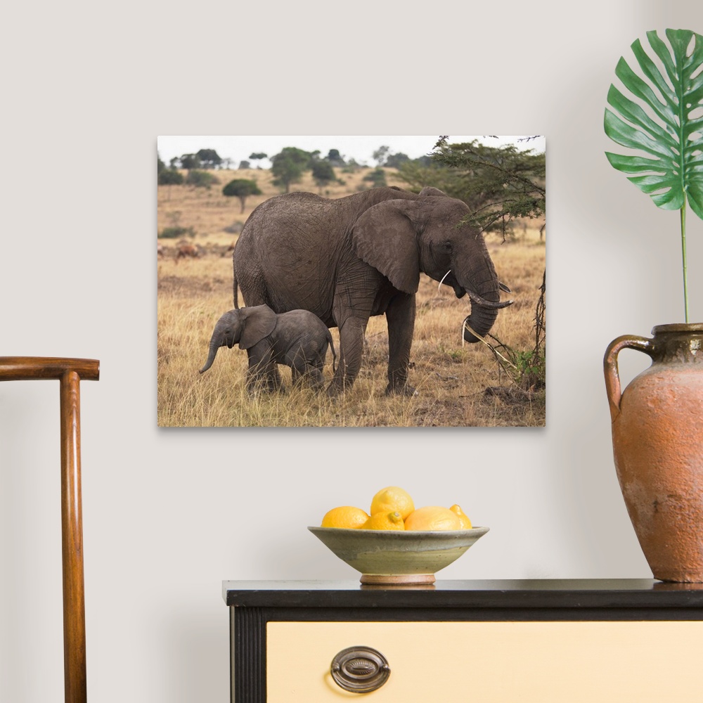 A traditional room featuring Mother And Baby Elephant