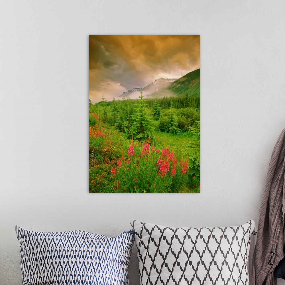 A bohemian room featuring Mount Amery And Fireweed, Banff Nat. Park, Alberta, Canada