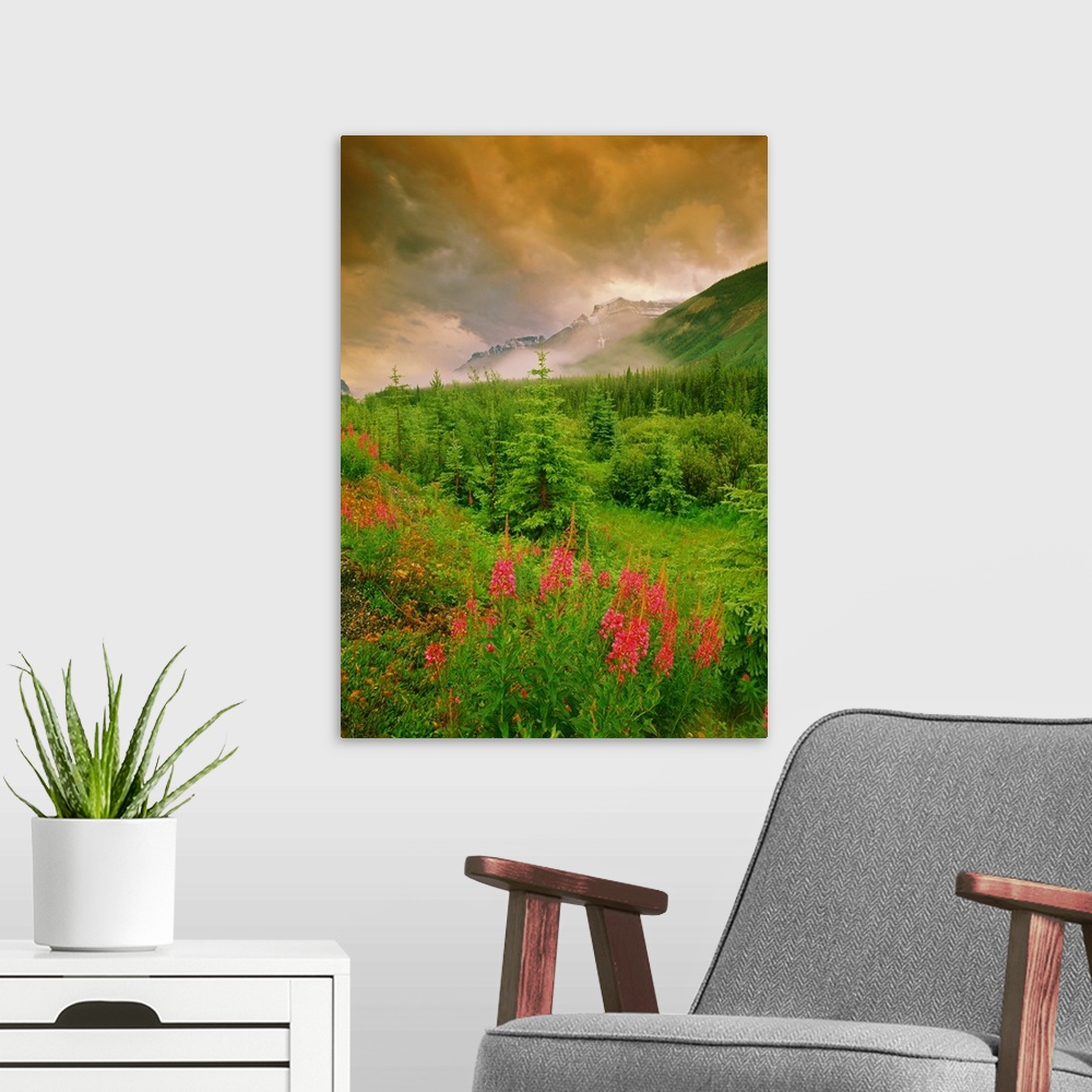 A modern room featuring Mount Amery And Fireweed, Banff Nat. Park, Alberta, Canada