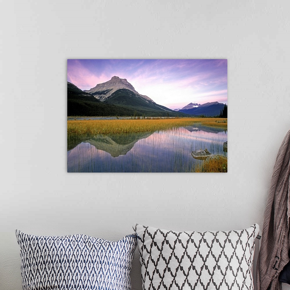 A bohemian room featuring Mount Amery And Mount Athabasca At Rampart Ponds, Banff National Park, Canada