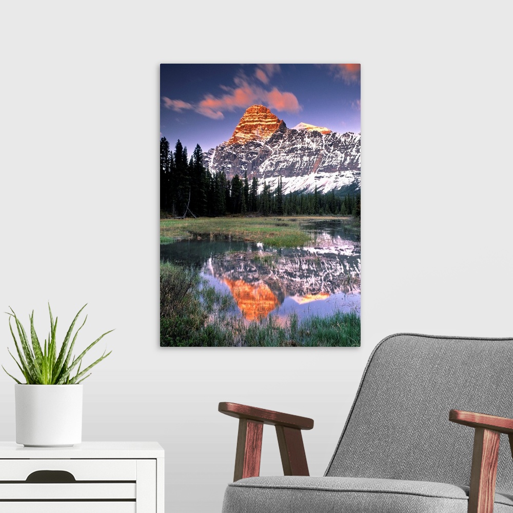 A modern room featuring Mount Chephren And Mistaya River Oxbow, Alberta, Canada