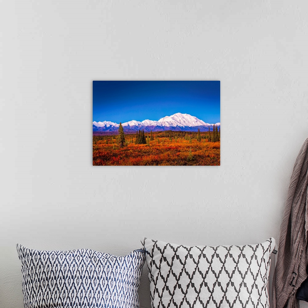 A bohemian room featuring Mount Denali (McKinley) at dawn with fall colors of the tundra in the foreground in autumn, Denal...