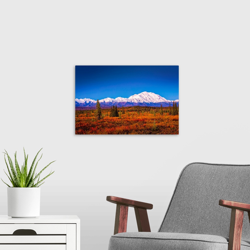 A modern room featuring Mount Denali (McKinley) at dawn with fall colors of the tundra in the foreground in autumn, Denal...