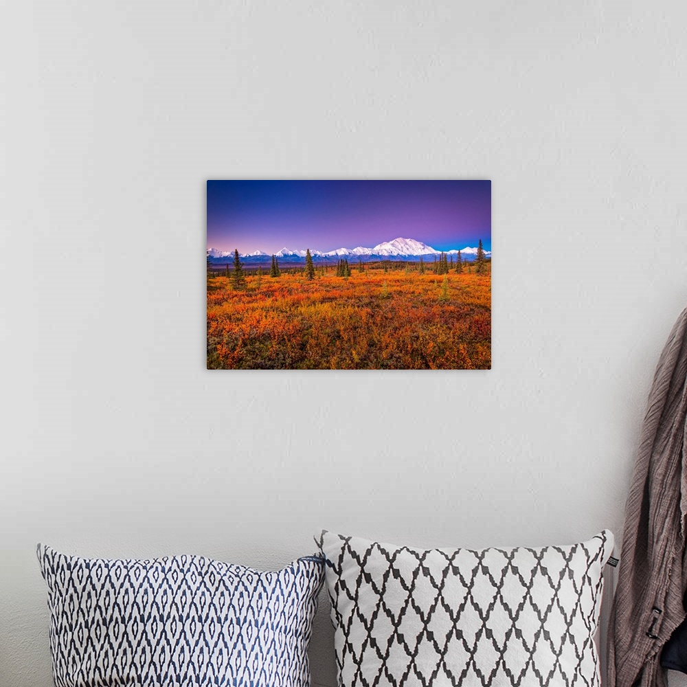 A bohemian room featuring Mount Denali (McKinley) glow at sunrise. Autumn coloured tundra in the foreground in Denali Natio...