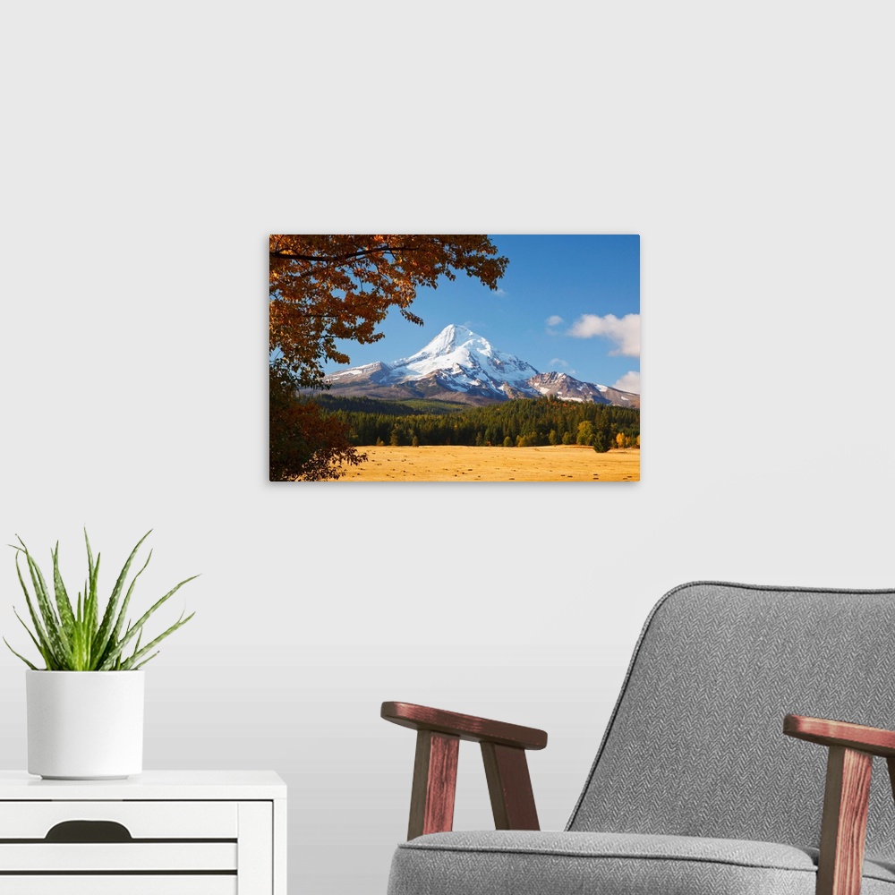 A modern room featuring Mount Hood And Autumn Colours In Hood River Valley, Oregon, USA