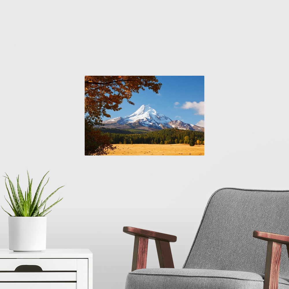 A modern room featuring Mount Hood And Autumn Colours In Hood River Valley, Oregon, USA