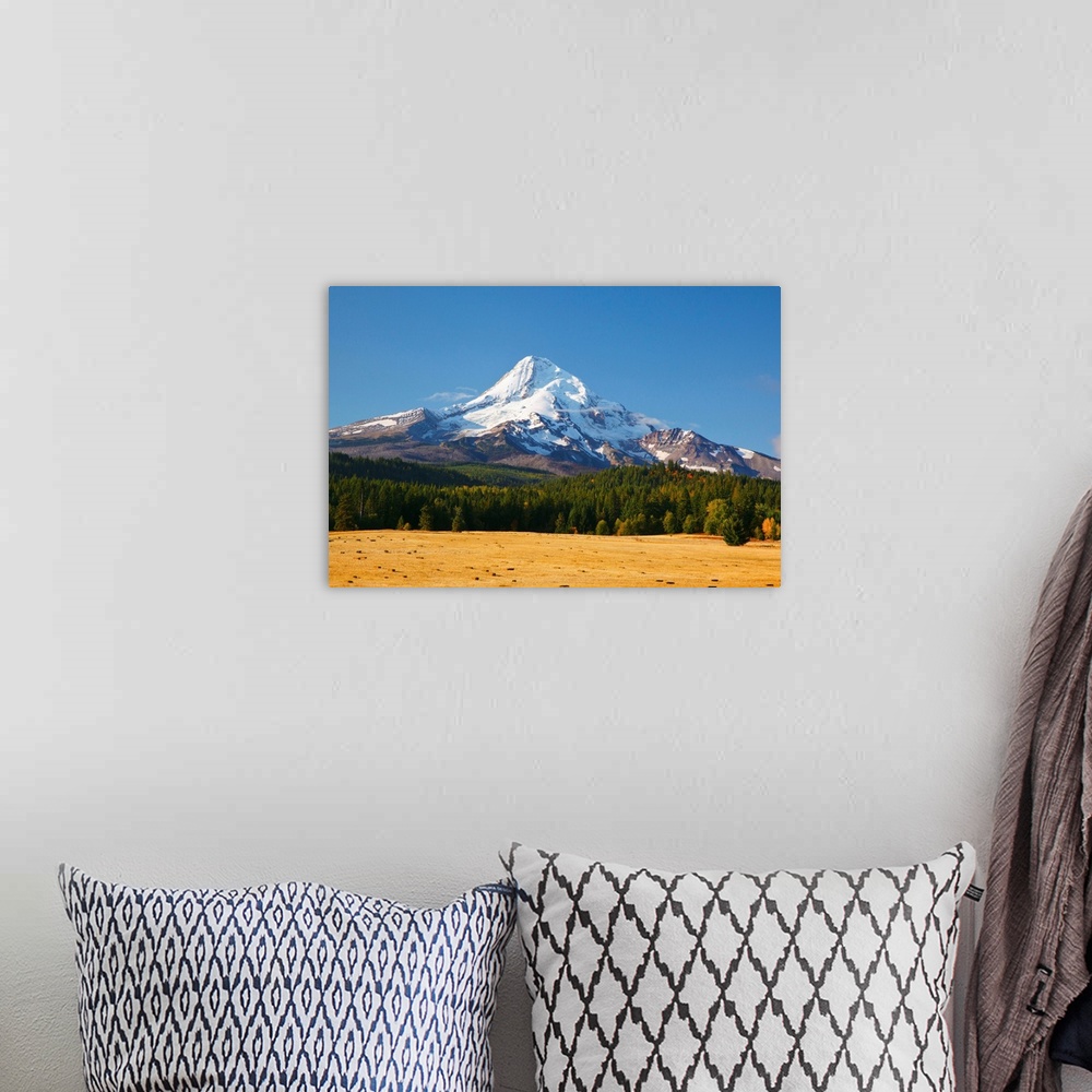 A bohemian room featuring Mount Hood, Oregon, USA