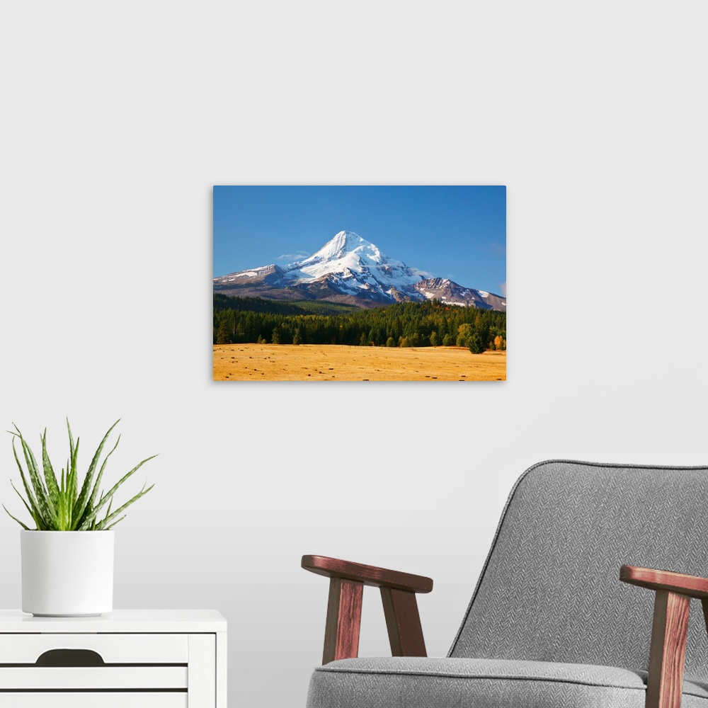 A modern room featuring Mount Hood, Oregon, USA