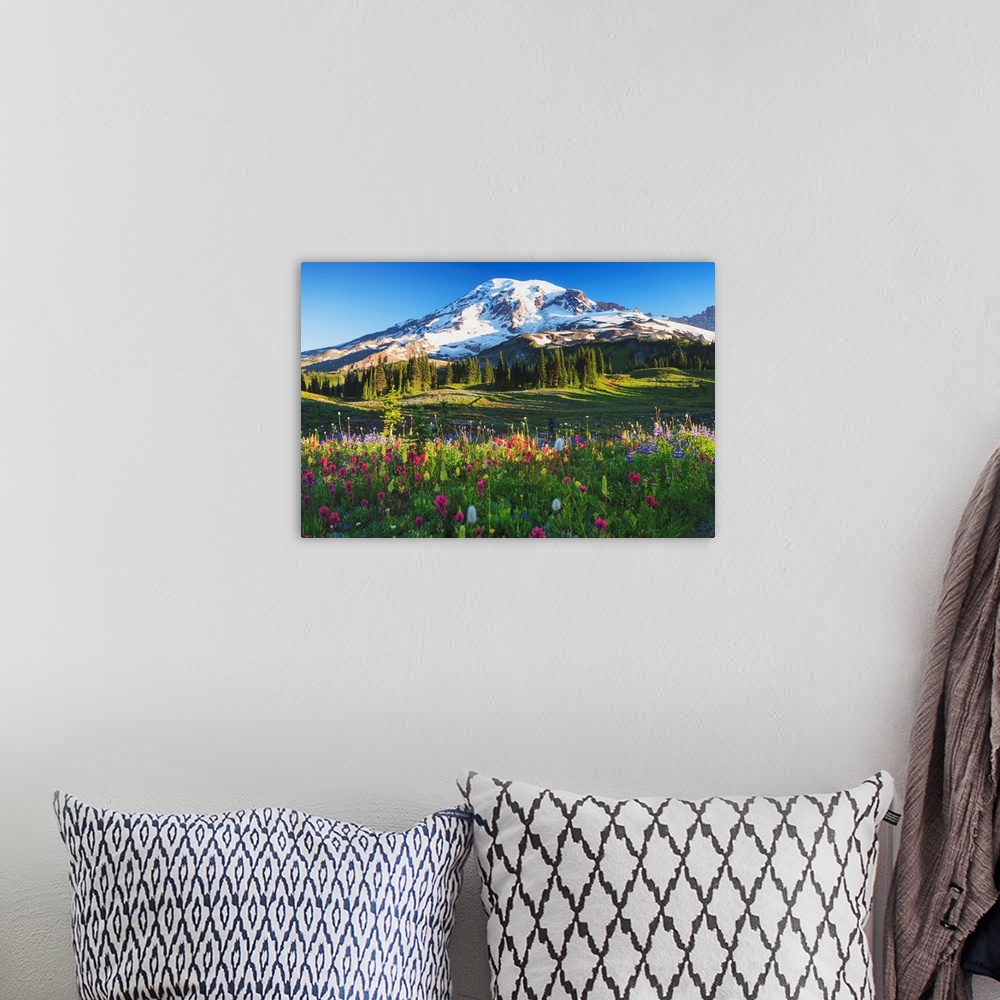 A bohemian room featuring Mount Rainier And Wildflowers In A Meadow, Mount Rainier National Park, Washington