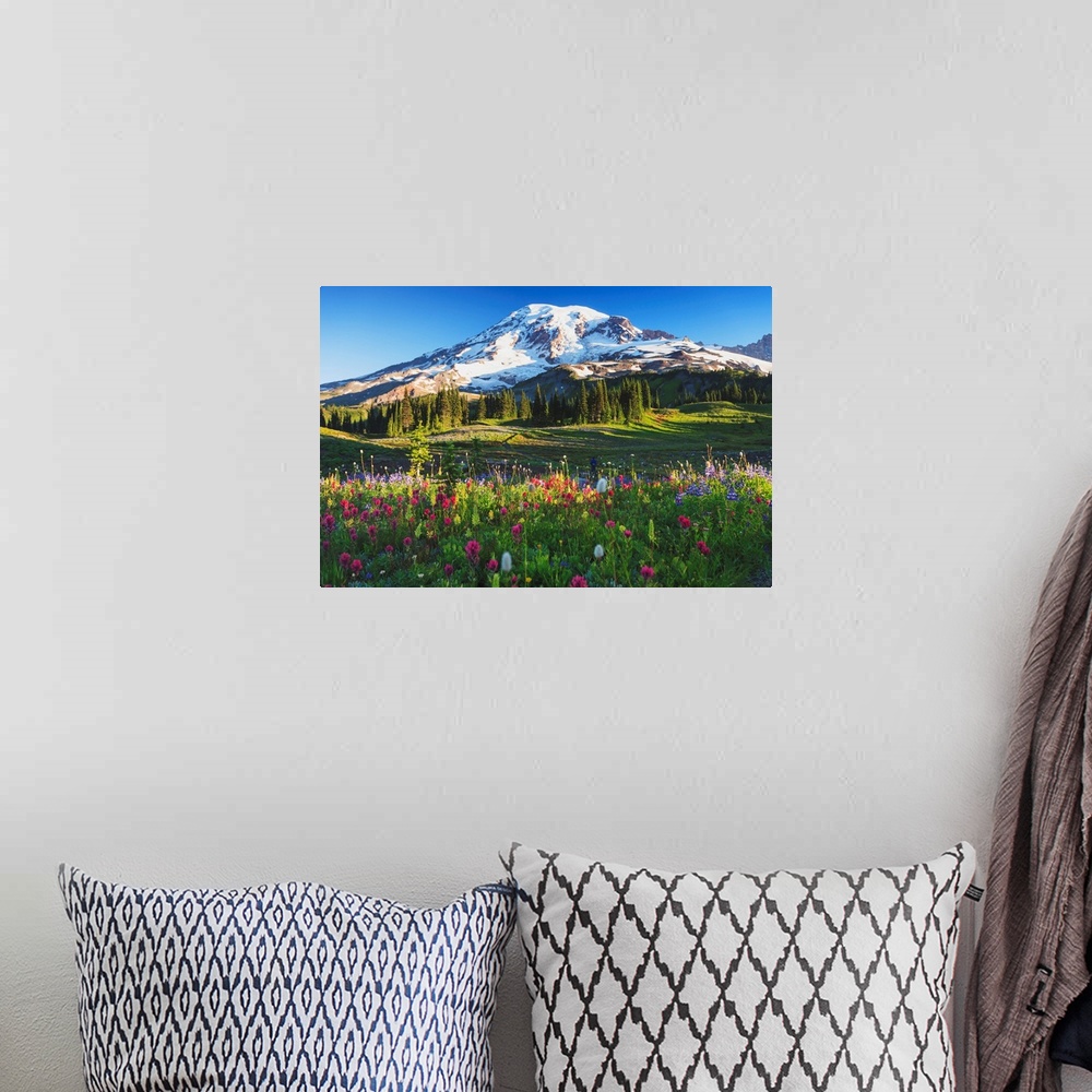 A bohemian room featuring Mount Rainier And Wildflowers In A Meadow, Mount Rainier National Park, Washington