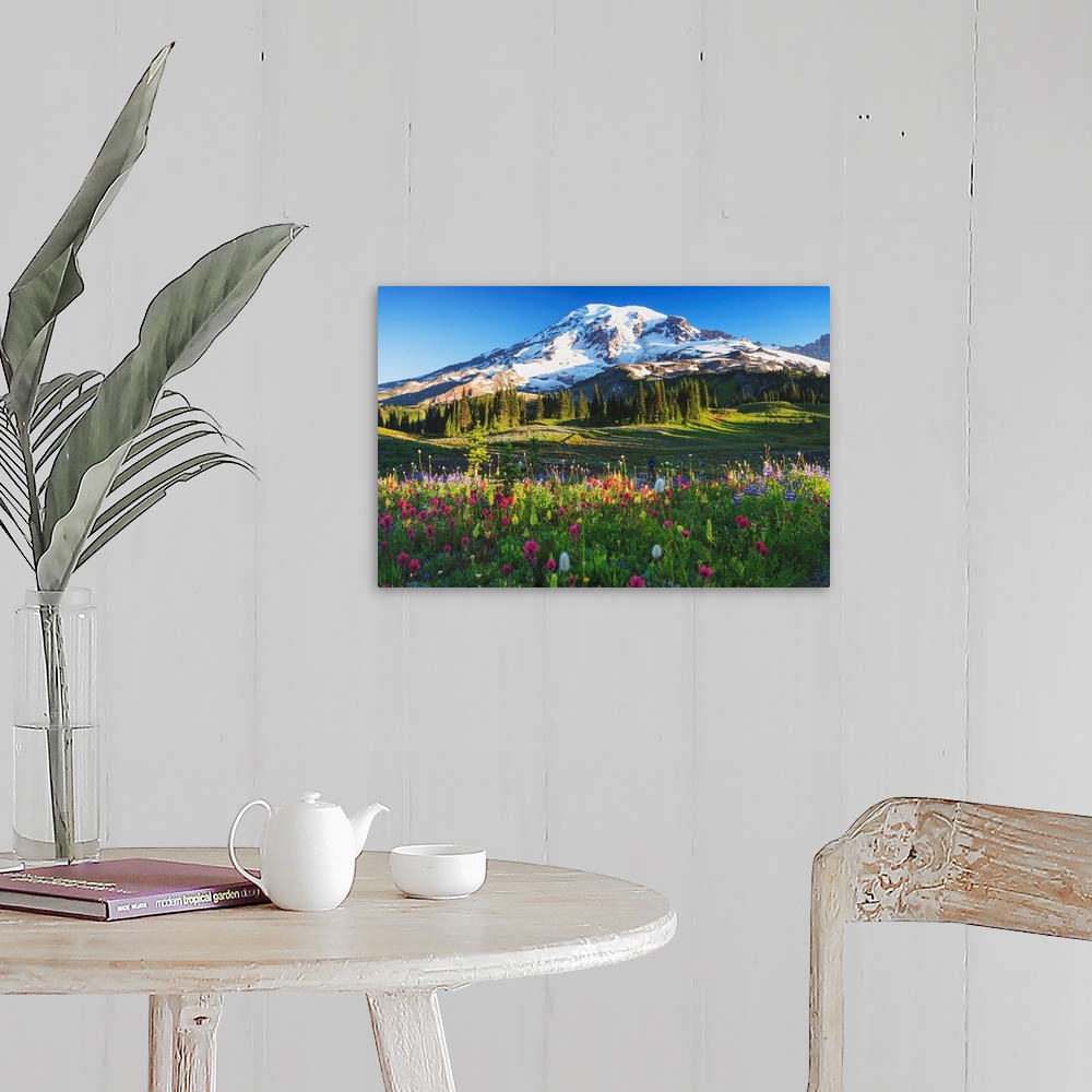 A farmhouse room featuring Mount Rainier And Wildflowers In A Meadow, Mount Rainier National Park, Washington