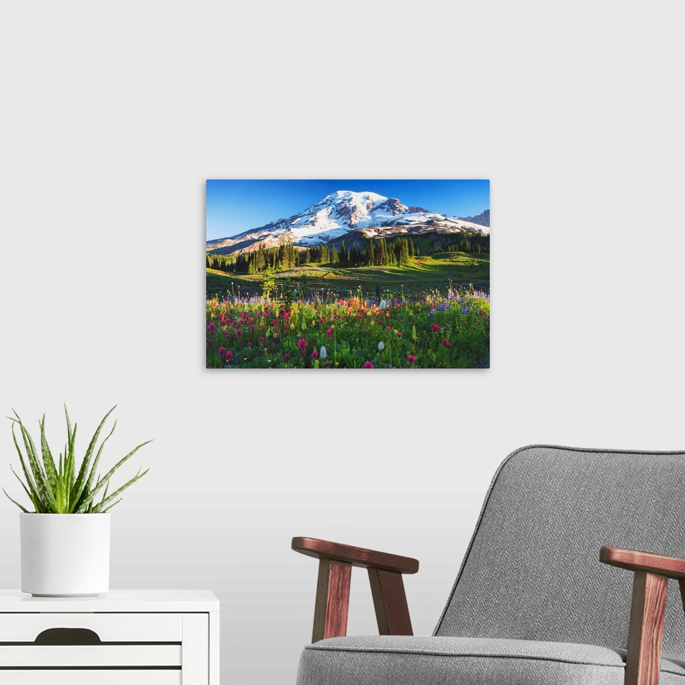 A modern room featuring Mount Rainier And Wildflowers In A Meadow, Mount Rainier National Park, Washington