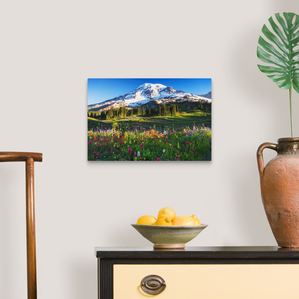 A traditional room featuring Mount Rainier And Wildflowers In A Meadow, Mount Rainier National Park, Washington