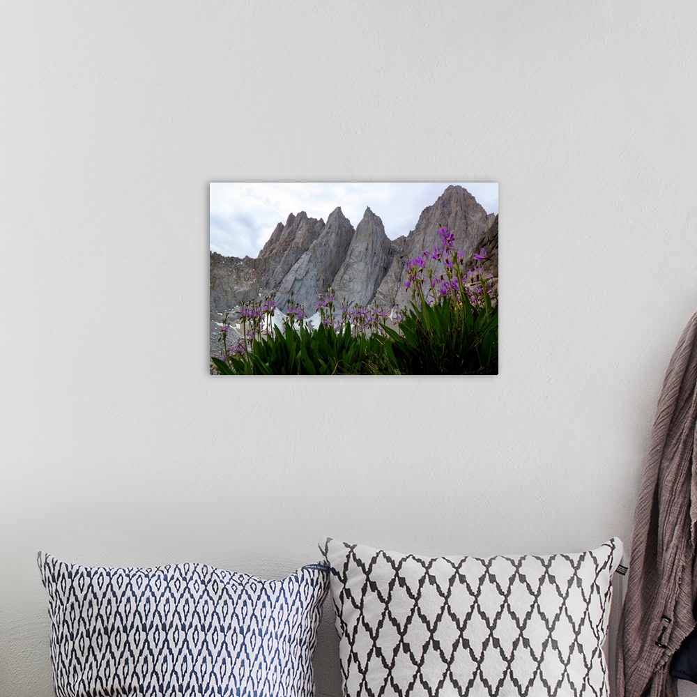 A bohemian room featuring Mount Whitney, the tallest mountain in the lower 48 states.