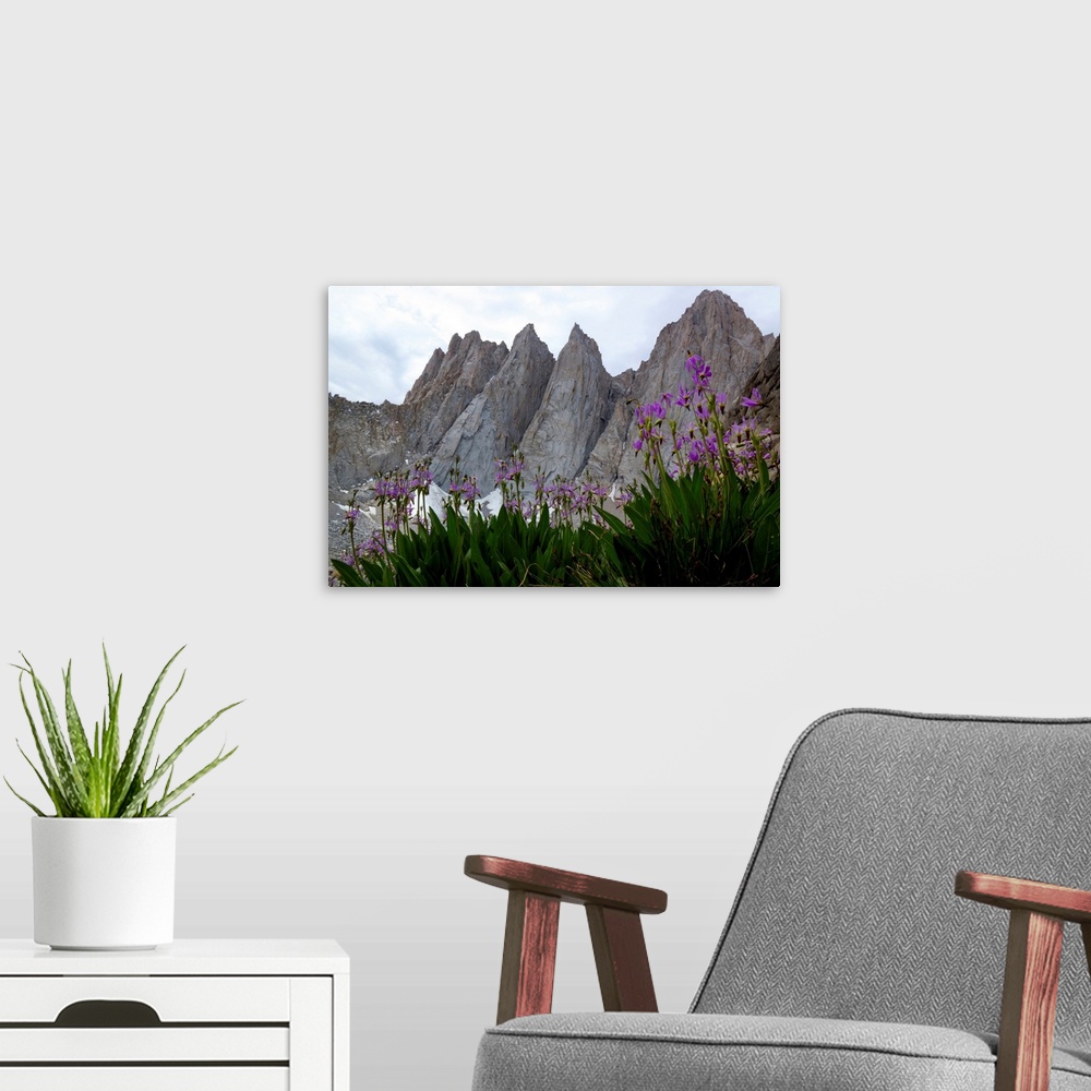 A modern room featuring Mount Whitney, the tallest mountain in the lower 48 states.