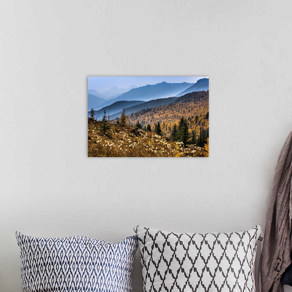 A bohemian room featuring Mountain Range and Autumn Larch Along Rock Isle Trail, Sunshine Meadows, Mount Assiniboine Provin...