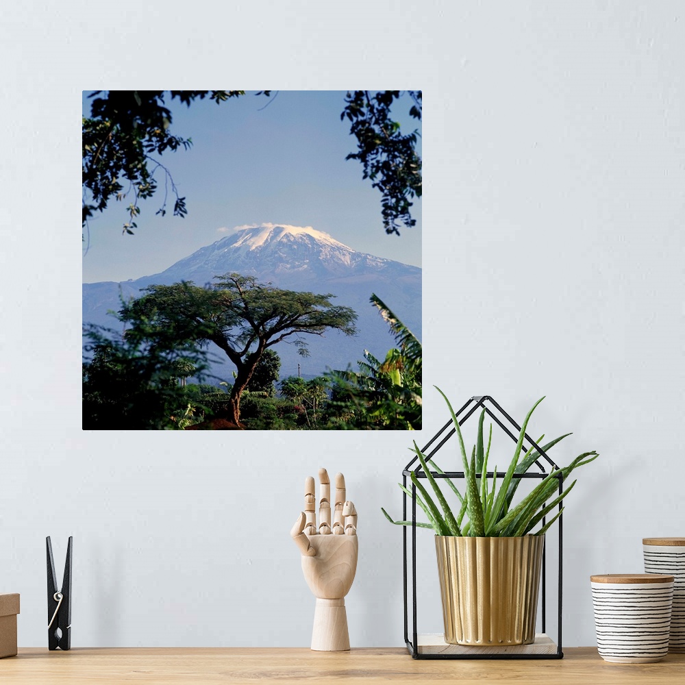A bohemian room featuring Mt. Kilimanjaro, Moshi, Tanzania