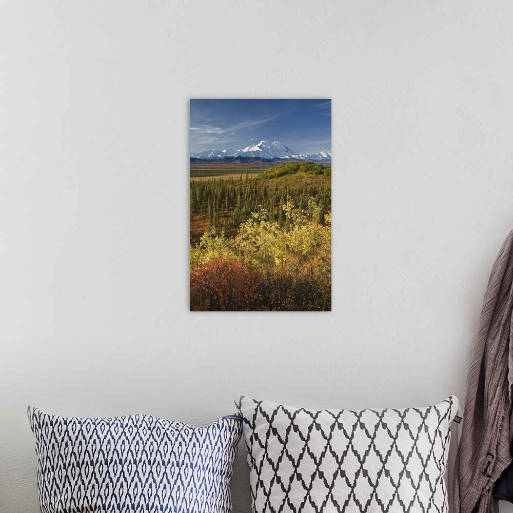 A bohemian room featuring Scenic Of Fall Tundra And Yellow Aspen Trees With Mt. Mckinley In The Background Near Wonder Lake...