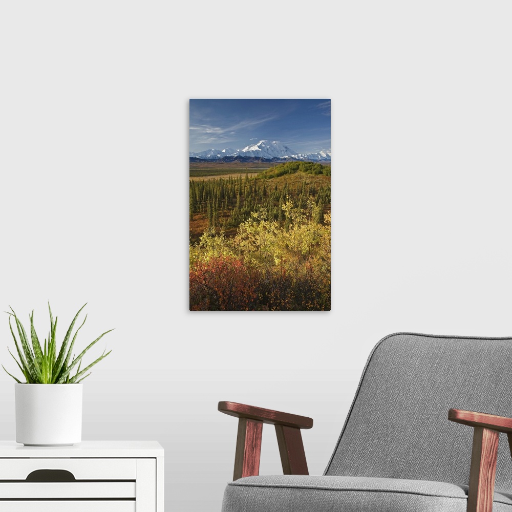 A modern room featuring Scenic Of Fall Tundra And Yellow Aspen Trees With Mt. Mckinley In The Background Near Wonder Lake...