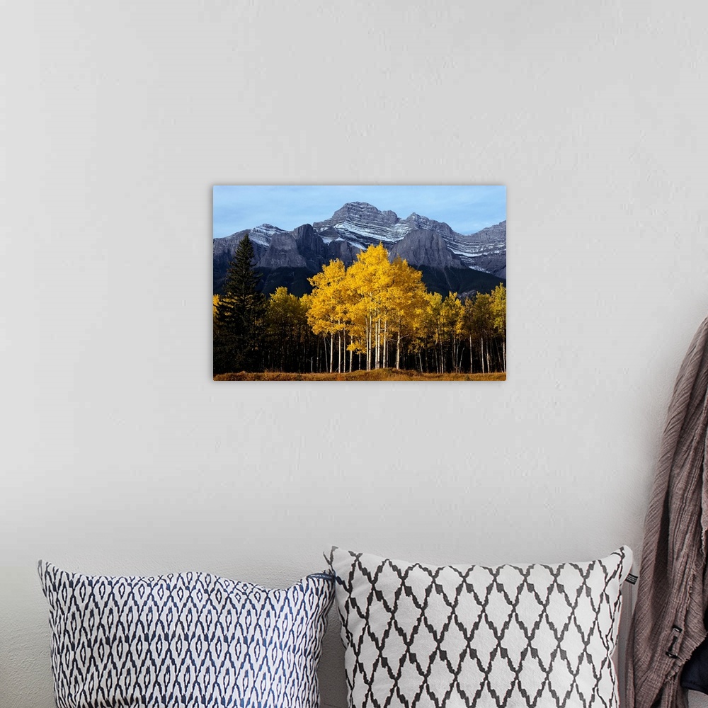 A bohemian room featuring Mt. Rundle and Aspens in Autumn Banff National Park, Alberta Canada