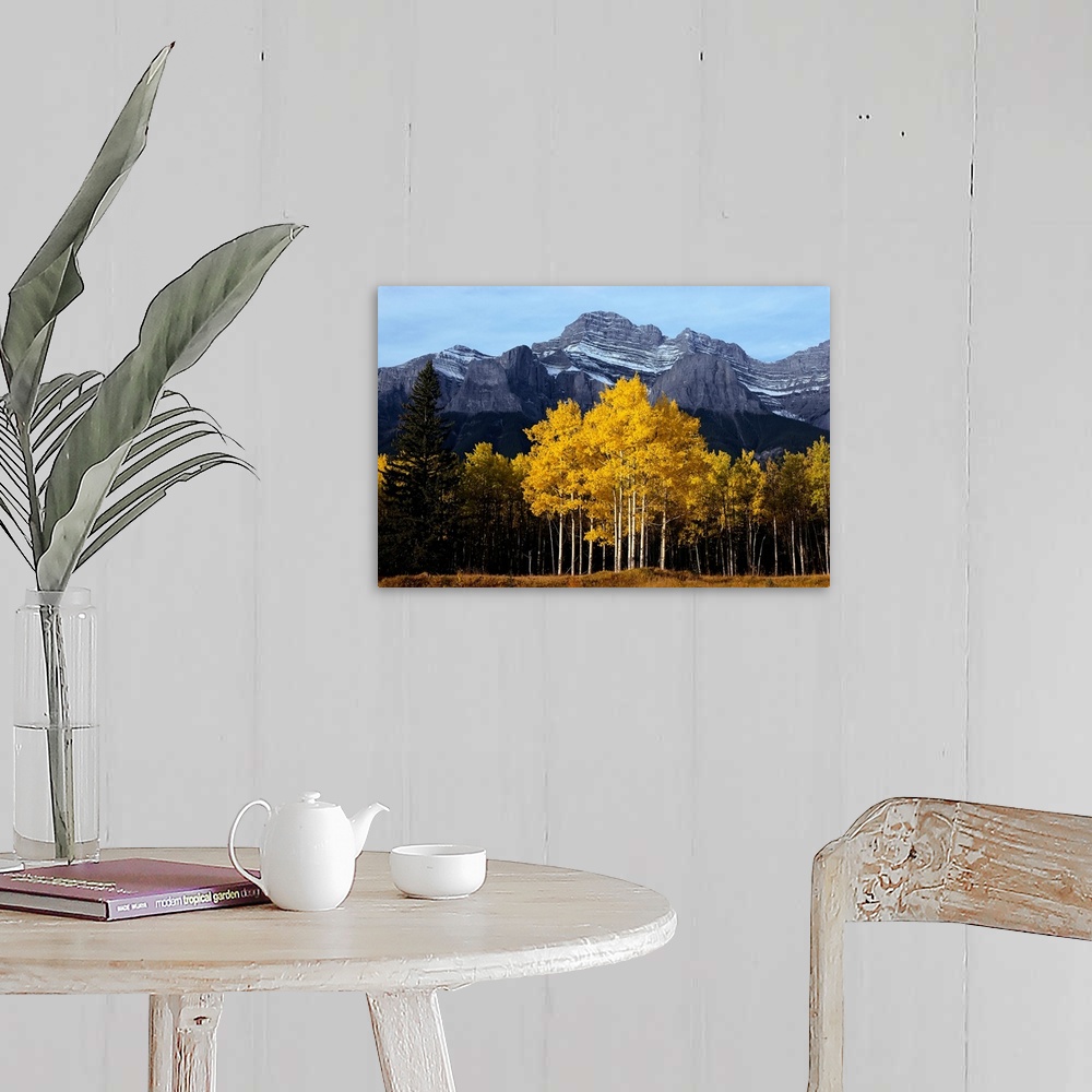 A farmhouse room featuring Mt. Rundle and Aspens in Autumn Banff National Park, Alberta Canada