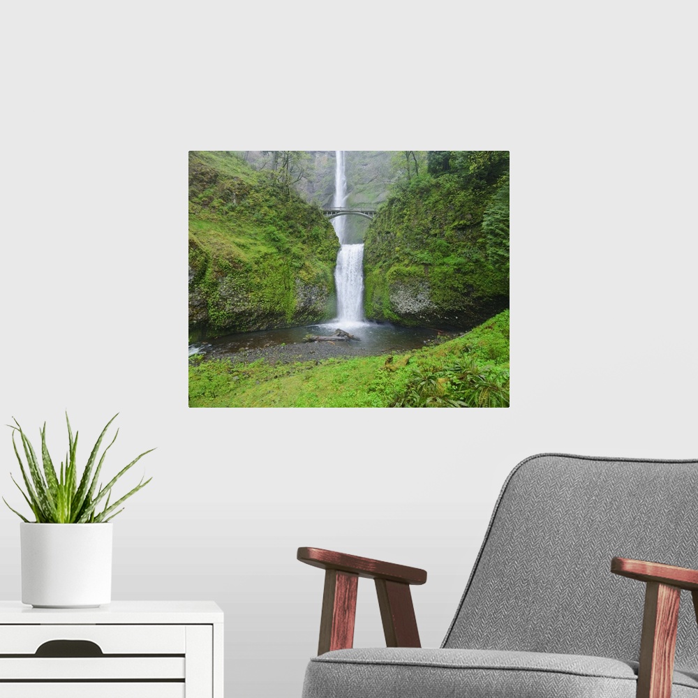 A modern room featuring Multnomah Falls In Spring In Columbia River Gorge, Oregon