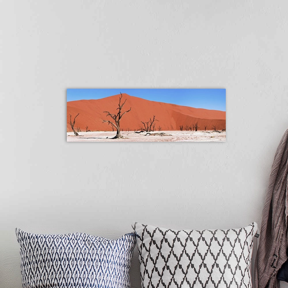 A bohemian room featuring Namib Desert, Namibia, Africa