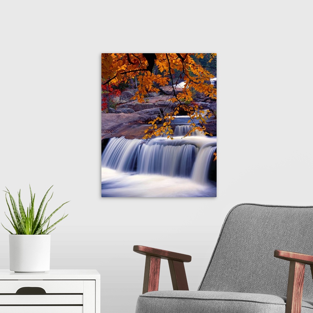 A modern room featuring Fall scene with a waterfall under a branch full of orange leaves.
