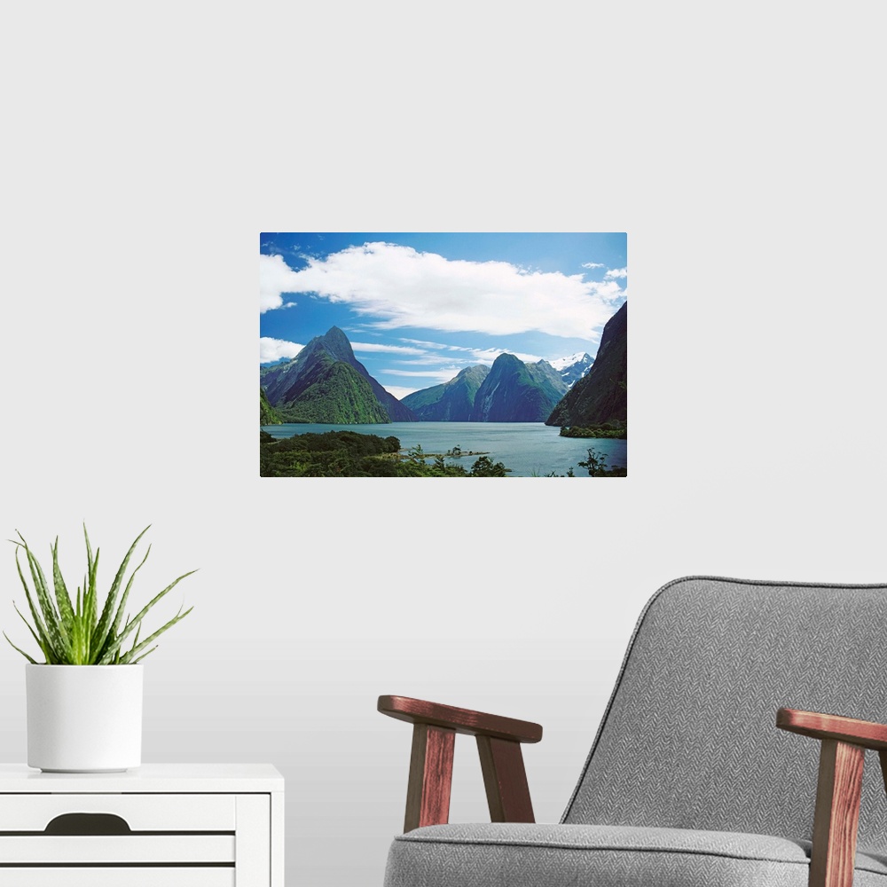 A modern room featuring New Zealand, Fiordlands National Park, Milford Sound