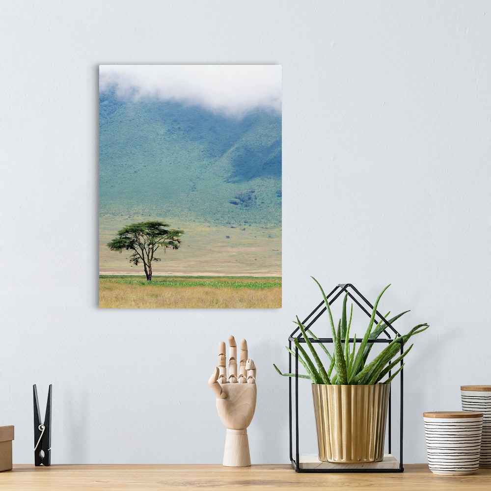 A bohemian room featuring Ngorongoro Crater