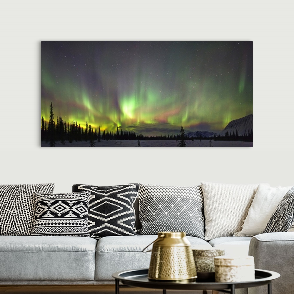 A bohemian room featuring Northern Lights And Spruce Trees In Broad Pass, Southcentral Alaska