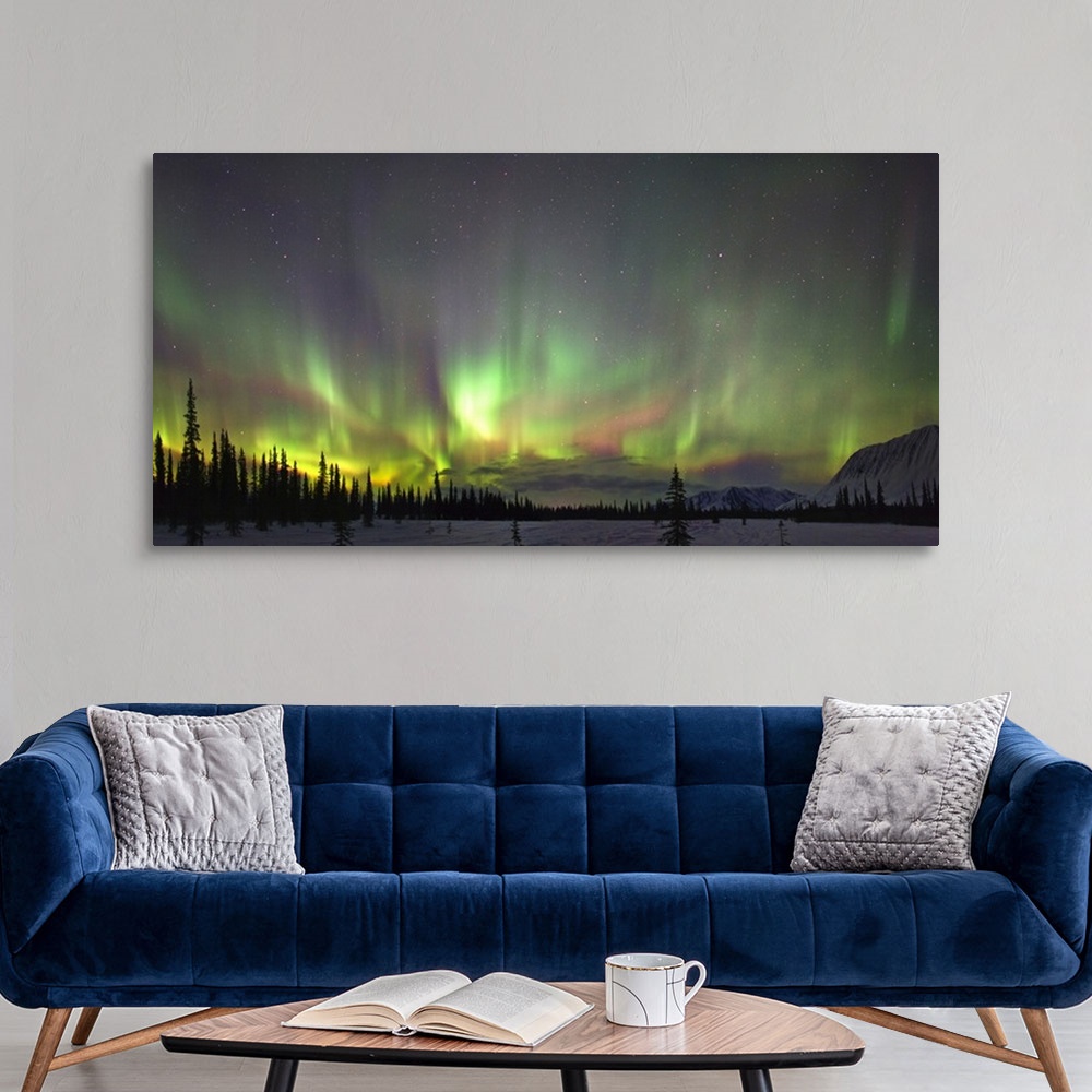 A modern room featuring Northern Lights And Spruce Trees In Broad Pass, Southcentral Alaska