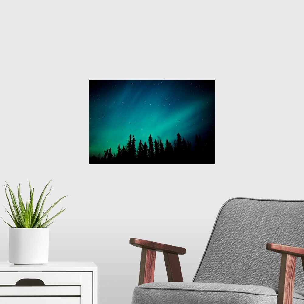 A modern room featuring Landscape photograph on a giant canvas of the Aurora Borealis over the Black Spruce forest, near ...
