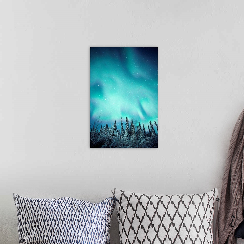 A bohemian room featuring Northern Lights Over Snow Covered Trees, Along Dempster Highway