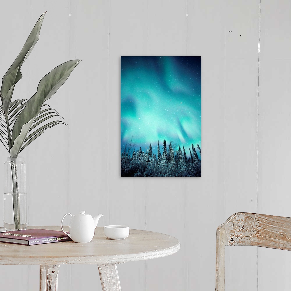 A farmhouse room featuring Northern Lights Over Snow Covered Trees, Along Dempster Highway