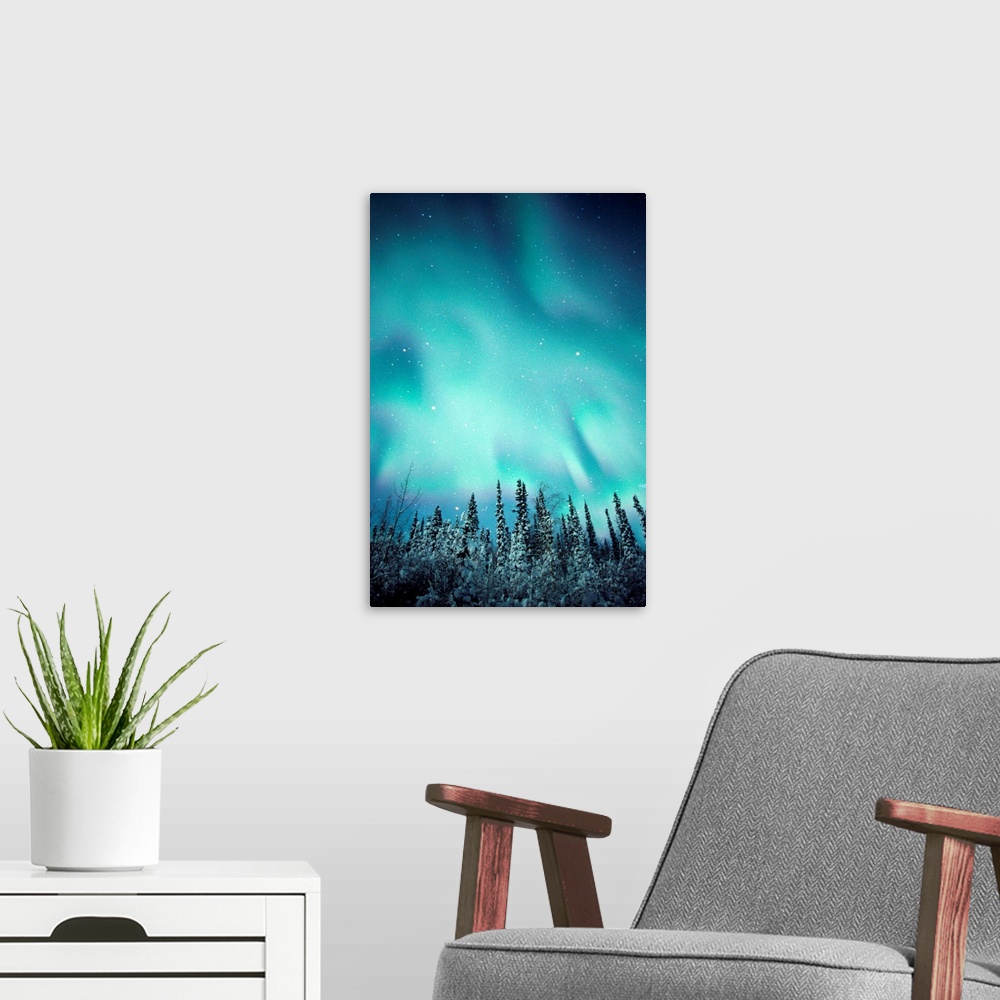 A modern room featuring Northern Lights Over Snow Covered Trees, Along Dempster Highway