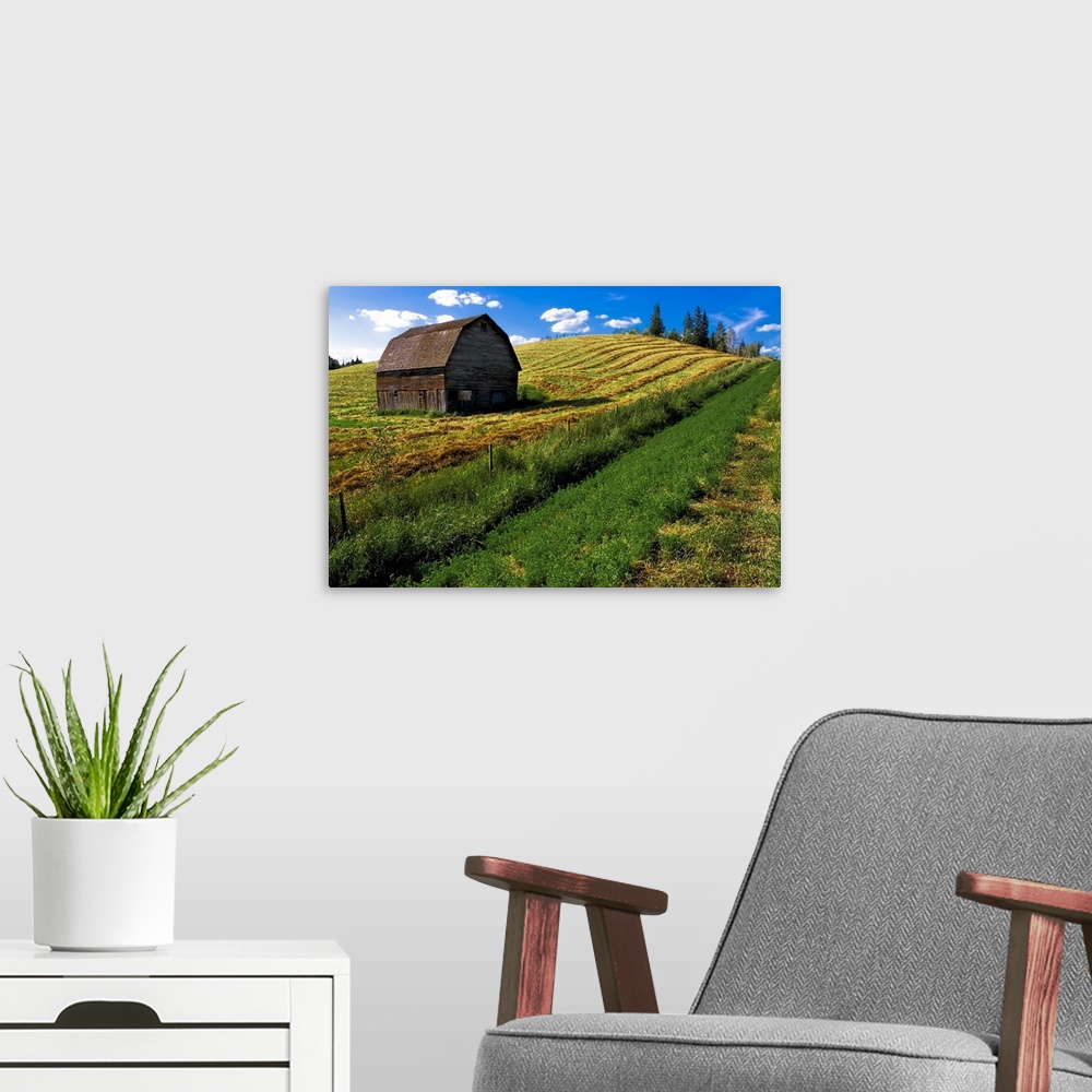 A modern room featuring Old Barn In A Field