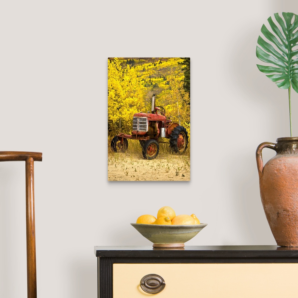 A traditional room featuring Old Farm Tractor
