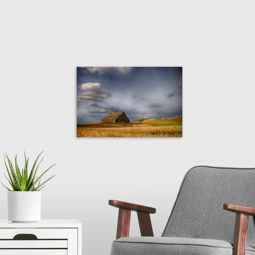 A modern room featuring Old wooden barn in a wheat field under a cloudy sky, Palouse, Washington, United States of America.