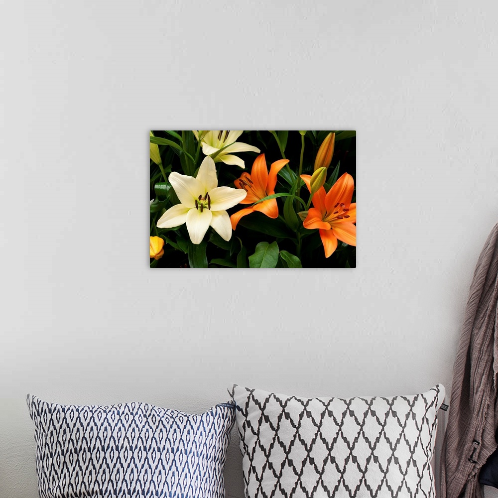 A bohemian room featuring Orange and white lily flowers and buds.