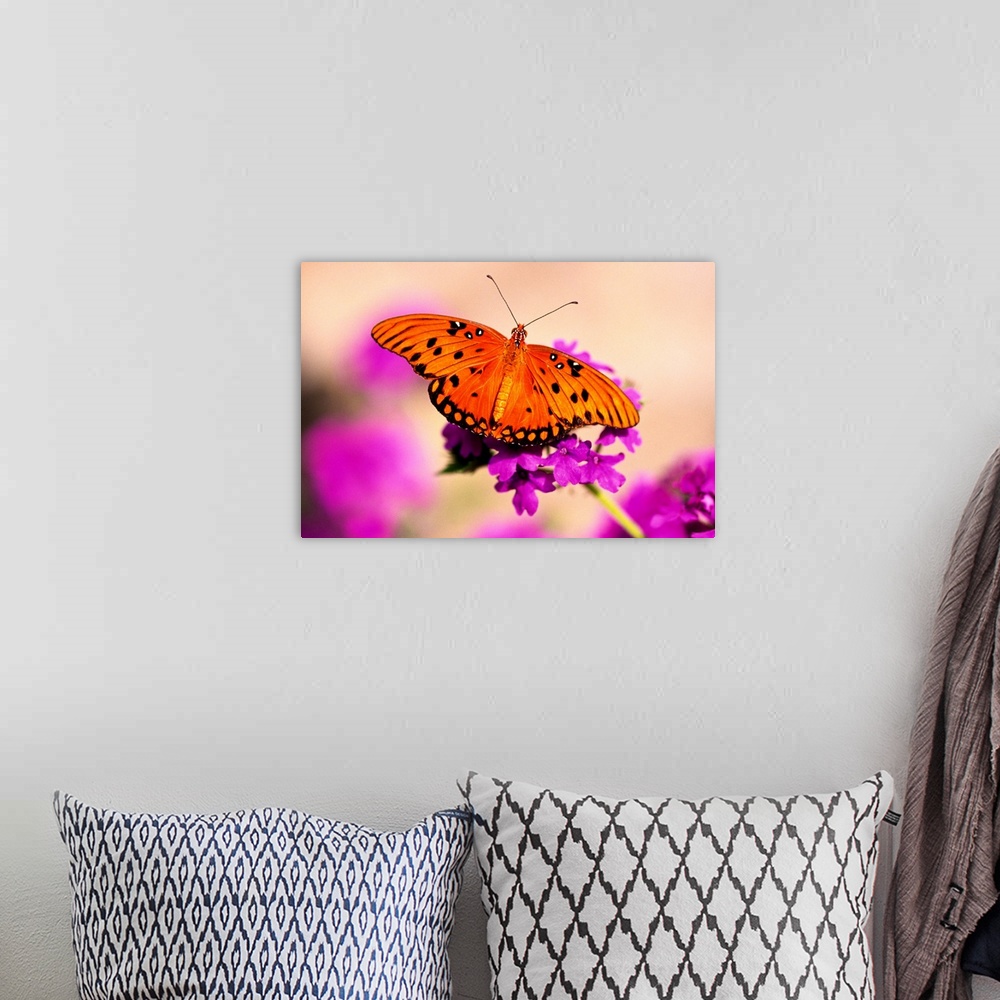 A bohemian room featuring Orange Butterfly