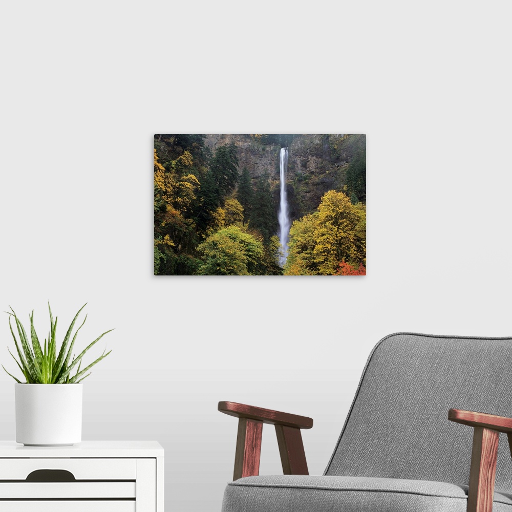 A modern room featuring Oregon, Columbia River Gorge, Multnomah Falls Among Fall Colors