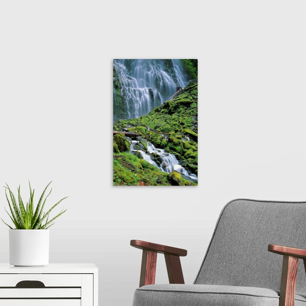 A modern room featuring Oregon, Willamette Valley, Lower Proxy Falls, Green Mossy Rocks And Waterfall