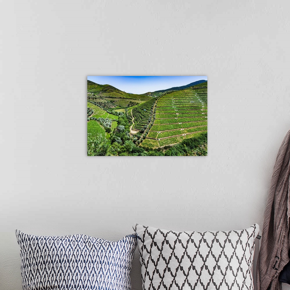 A bohemian room featuring Overview of the terraced vineyards in the Douro River Valley, Norte, Portugal