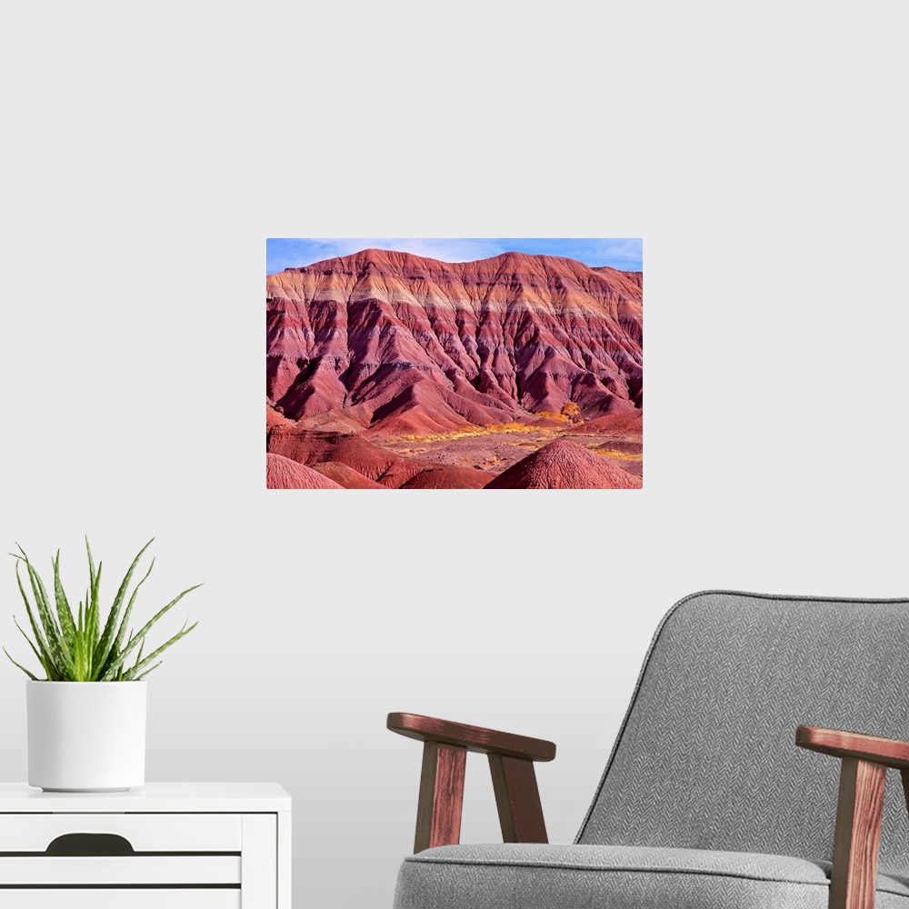 A modern room featuring Petrified Forest National Park, Arizona